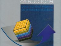 Manual De Auditoria
