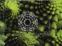 Redes Para El Diálogo Cultural