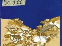 Los Consejos Comunitarios De Desarrollo